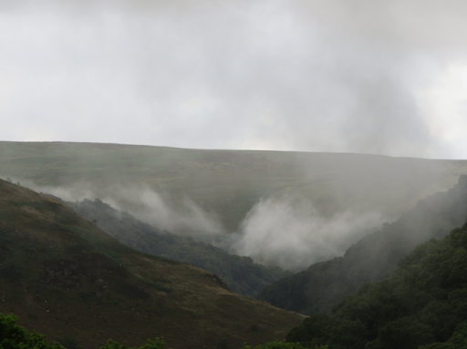 The Dragons Breath Essence by Crystal Mountain